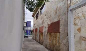 Imagem 4: São Paulo - Apartamento Padrão - SÃO MIGUEL PAULISTA