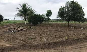 Imagem 4: Oportunidade : Vendo/troco/parcelo lotes em Taquarana