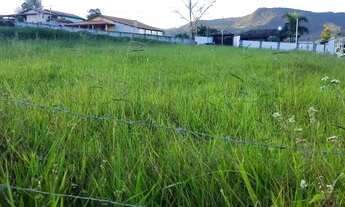 Imagem 6: Terreno para chácara