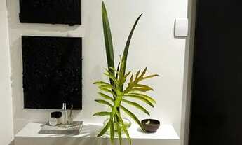 Imagem 5: Cobertura em Mont Serrat