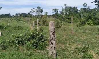 Imagem 6: Chácara em Presidente Medici