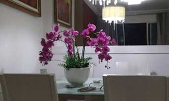 Imagem 6: Santa Cecília Apartamento com 3 dormitórios