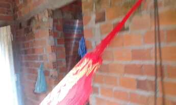 Imagem 2: Terreno 5/20 já tem 2 cômodo construída