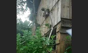 Imagem 6: Vendo Casa em Vila Serraria São José