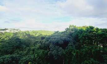 Imagem 2: Mansão Reserva Real