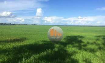 Imagem 4: FAZENDA 18 ALQUEIRES EM SAO VALERIO -TO