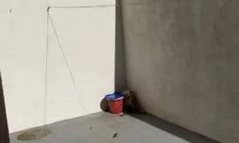 Imagem 3: Alugou casa dúplex reserva do norte 6 zap *85 zap