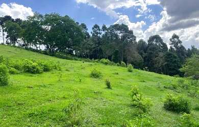 Imagem 15: Chácara de 7,4 hectares em Ibema, próximo a cidade!