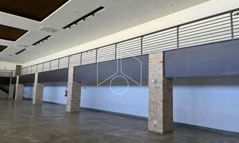 Imagem 6: Comercial GalpãoBarracão em Marília