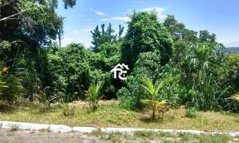 Imagem 6: Terreno à venda, 1350 m² por R$ 330.000,00 - Mata Paca - Niterói/RJ