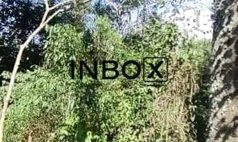 Imagem 4: TERRENO NO RESERVA GRASSELLI NO BORGO EM BENTO GONÇALVES