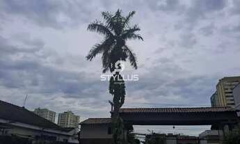 Imagem 4: Taquara Apartamento com 2 dormitórios