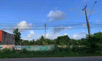 Imagem 2: Excelente terreno para abri o seu negócio