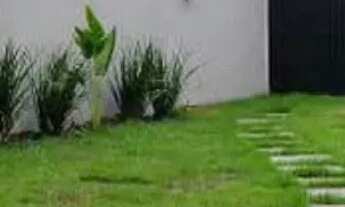 Imagem 4: Alugo grande espaço para comércio