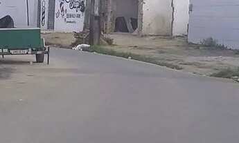 Imagem 3: Casa com Quintal