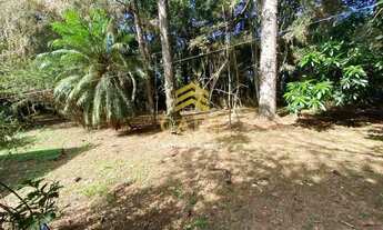 Imagem 2: Imóvel para venda tem 10000 metros quadrados com 1 quarto em Águas Claras - Viamão - RS