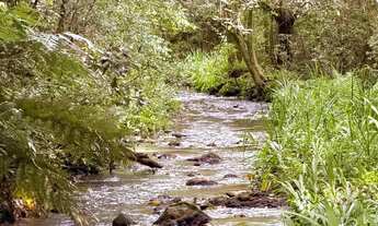 Imagem 3: Chácara com 2 Dormitorio(s) localizado(a) no bairro Fazenda Souza em Caxias do Sul / Ref.