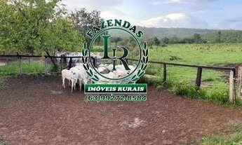 Imagem 4: Excelente Chácara 10 Alqueires