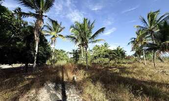 Imagem 7: Vendo sítio no interior de Japoatã - Se