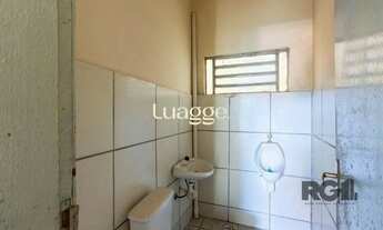 Imagem 7: Loja em Medianeira