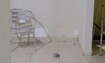 Imagem 6: Alugo casa SÓ RESPONDO NO ZAP em caetes Um