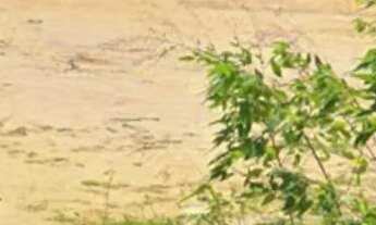 Imagem: Terreno plano no Laranjeiras ideal para