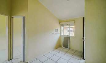 Imagem 2: Apartamento 2 quartos para aluguel Pelotas