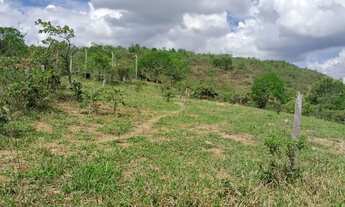 Imagem 2: SÍTIO DE 25 HECTARES, PONTE ALTA SUL