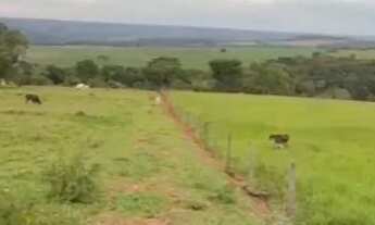 Imagem 5: Sítio próximo Uberlândia colégio agrícola