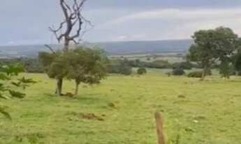 Imagem 2: Sítio próximo Uberlândia colégio agrícola