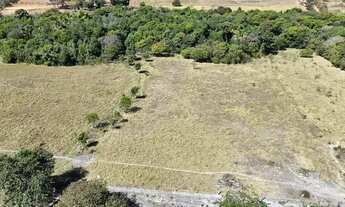 Imagem 2: Fazendinha a venda com exclusividade em Brazlândia/DF com 70 hectares