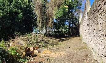 Imagem 6: Grande área no bairro Olaria