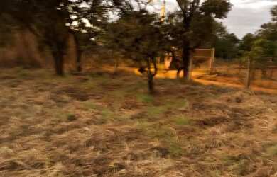 Imagem 6: VENDO CHÁCARA NO INCRA 7, 2HECTARES, LEIA A DESCRIÇÃO!!!