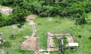 Imagem: Fazenda em silvania GO