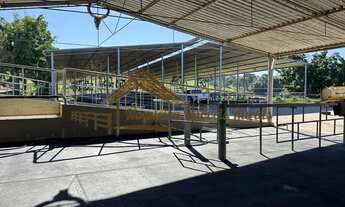 Imagem 5: Fazenda com 51 alqueires, estrutura para leiteria