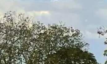 Imagem 7: FAZENDA EM CAMPOS BELOS - GO: Uma oportunidade única!