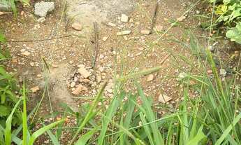 Imagem 7: Vendo lote de 300m2, com barraco de alvenaria