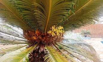 Imagem 3: Casa com 3 quartos para alugar, 246 m² - Condominio Village Ipanema 1 - Araçoiaba da Serra