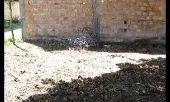 Imagem 5: Lote na Ilha de Algodoal-Pa a 300 mts da praia