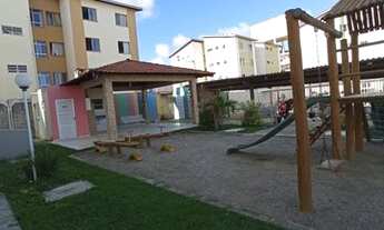 Imagem 3: Veredas do Marivan