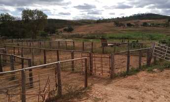 Imagem 4: Fazenda Para vc Que Tem Vocação com Pecuária