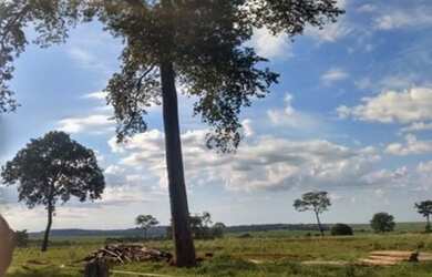 Imagem 2: Excelente fazenda em Limeira