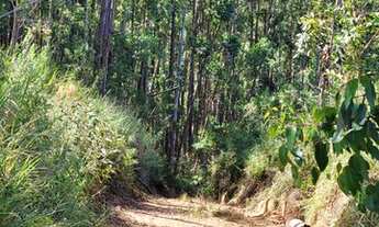 Imagem 6: Fazenda/Sítio/Chácara para venda com 200ha em Zona Rural - Córrego Danta - MG