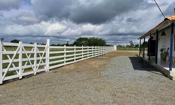 Imagem 3: Vendo Fazendinha em São Gonçalo dos Campos
