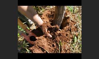 Imagem 6: Fazenda no Município de Campos Lindo TO