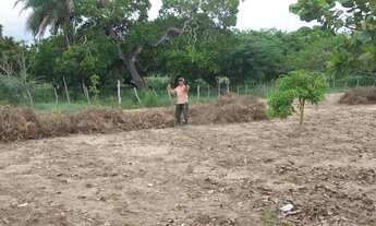 Imagem 7: Vendo terreno sítio Gavião de cima / /Palmeiras índios (Ideal pra fazer uma chácara )