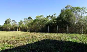 Imagem 2: Excelente Chacara com 1,000 m2 em Campo Largo da Roseira valor 185,000