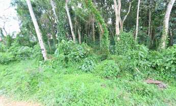 Imagem: Lotes exclusivos no Cônego - Lote 15