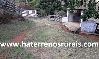 Imagem 2: Sítio 11 Hectares Liberdade - Sítio Bom Jardim 23 Hectares