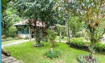 Imagem 5: Lot. Vale da Lua, local dos Eucalipto e araucária